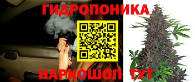 мдпв Гусев