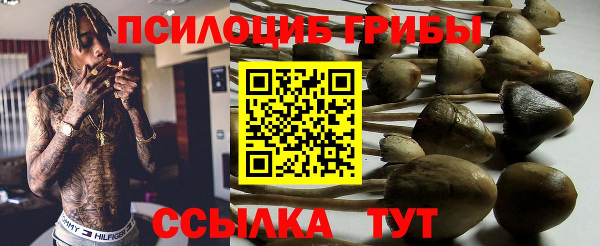 Псилоцибиновые грибы MAGIC MUSHROOMS  Галлюциногенные грибы мицелий  Вход с VPN  Нижний Тагил 